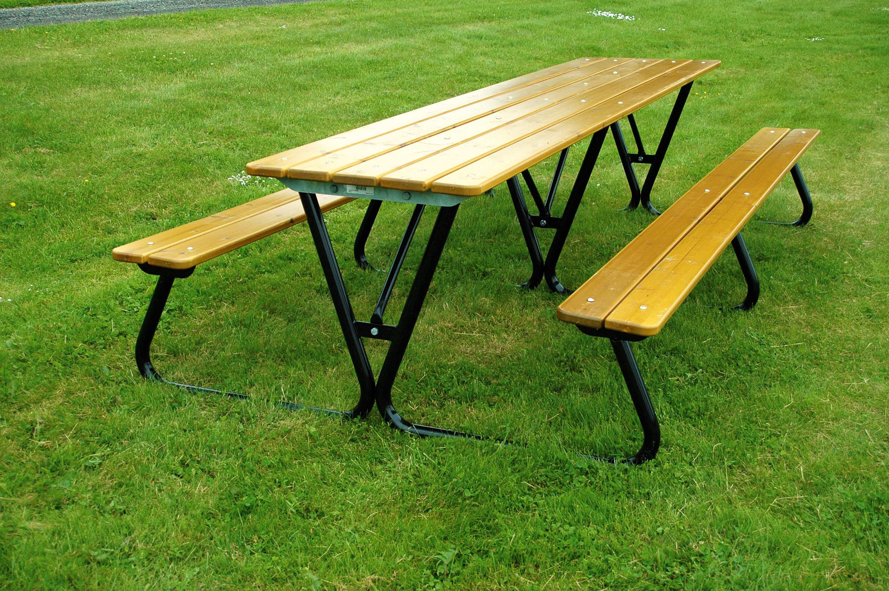 Picnic Table Gullviva